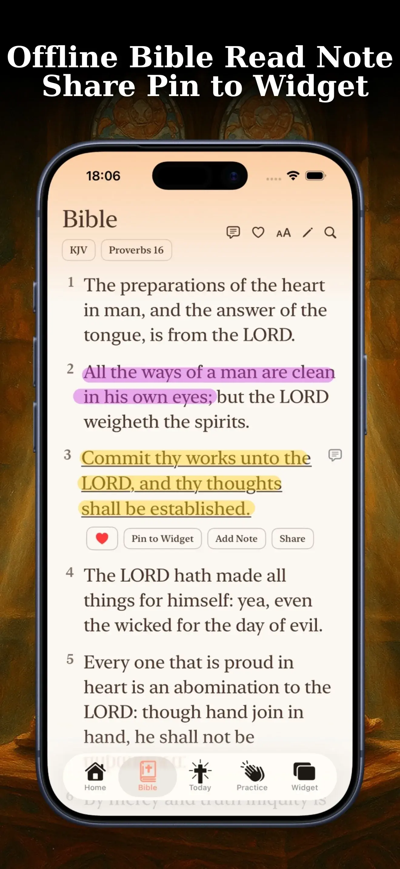 Bible Widget offline KJV Bible reading and notes screen on iPhone
